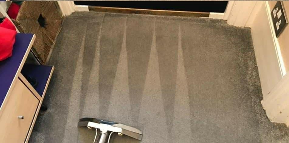 Hallway carpet, muddy paw prints after cleaning