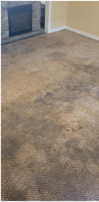 Living room, heavy traffic before cleaning